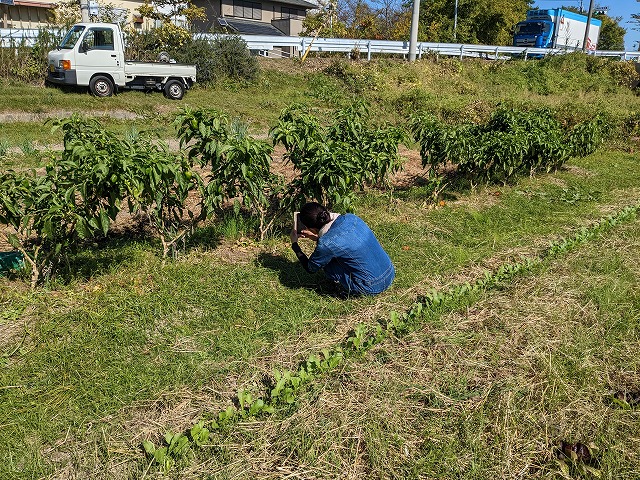 kumaFARM畑のがっこう