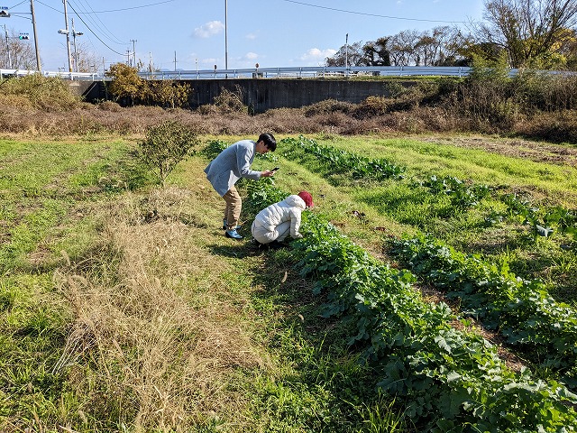 kumaFARM畑のがっこう