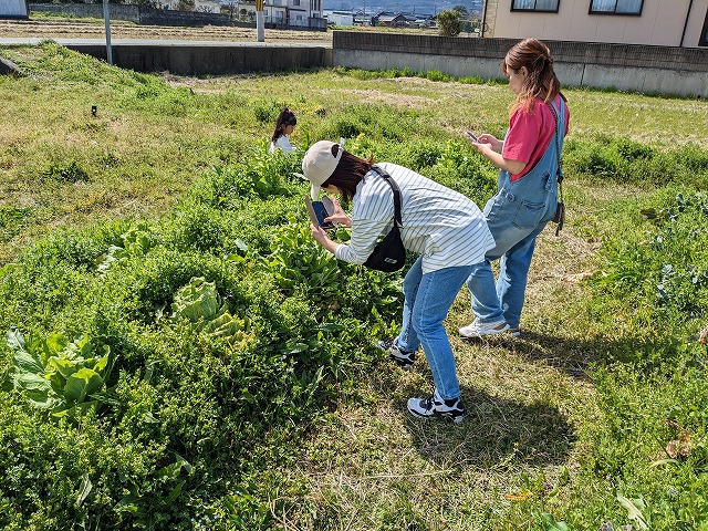 kumaFARM畑のがっこう