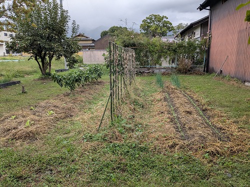 kumaFARM自然農菜園教室「畑のがっこう」