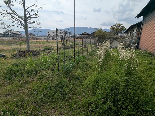 kumaFARM畑のがっこう